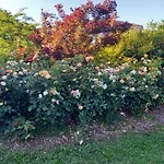 Le Panorama D'exception-65m2- Parking Prive En Sous-sol *