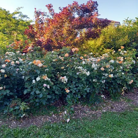 Le Panorama D'Exception-65M2- Parking Prive En Sous-Sol *