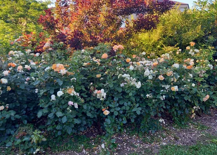 Le Panorama D'exception-65m2- Parking Prive En Sous-sol *